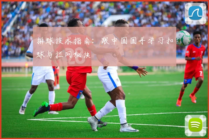 排球技术指南:跟中国国手学习扣球与拦网秘诀